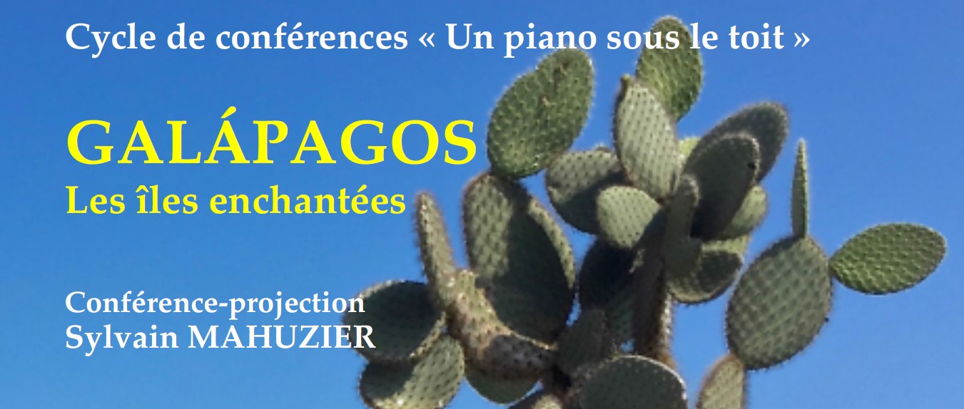 2024/11/16 & 17 Conférence « Un piano sous le toit »